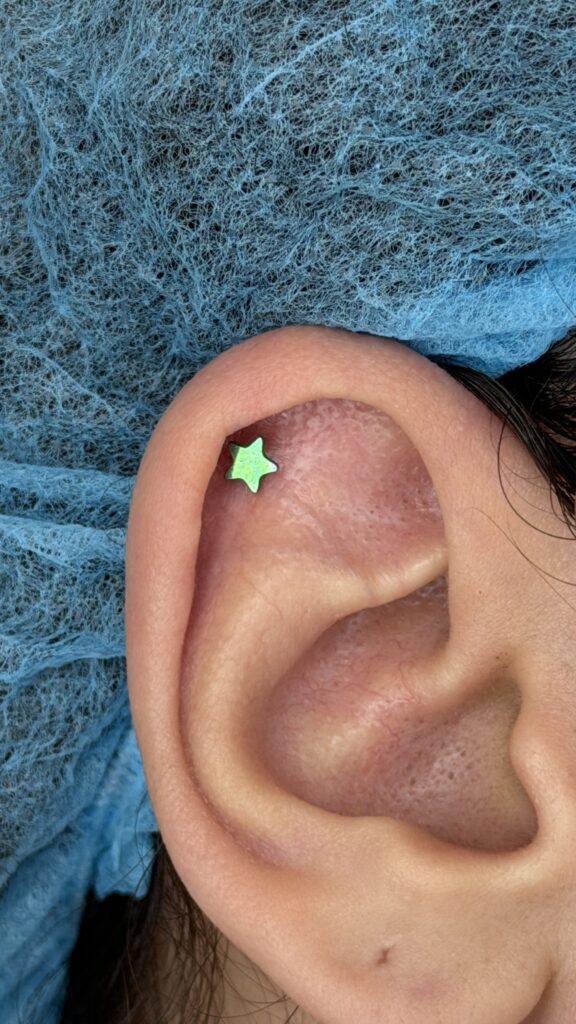 Hélix Camilo Barreto Piercing