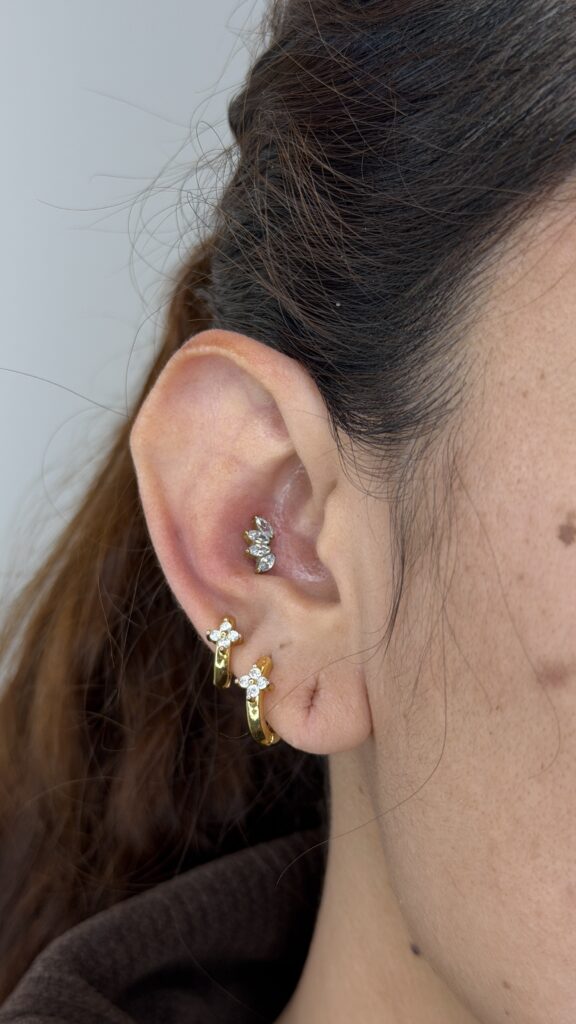 Conch Camilo Barreto Piercing