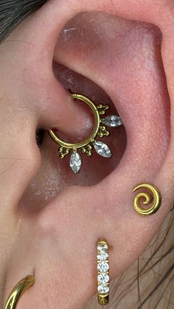 Daith Camilo Barreto Piercing