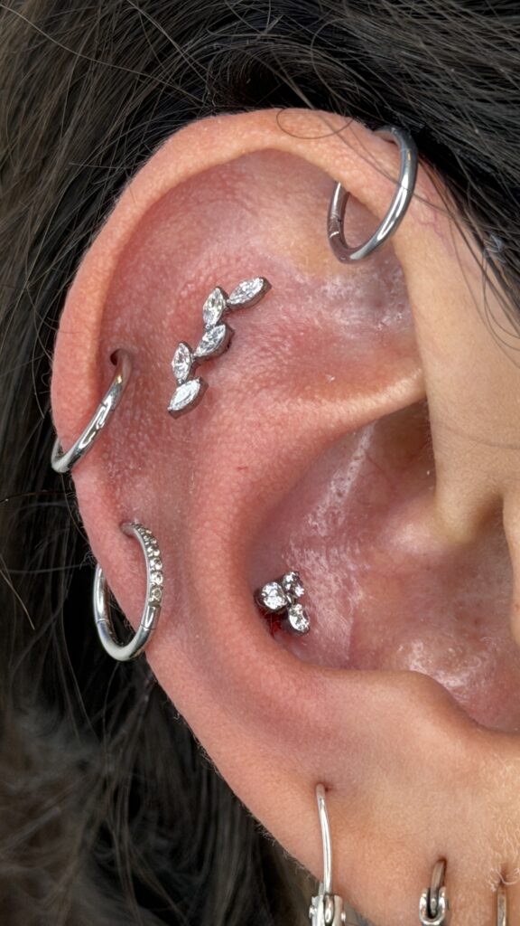 Hélix Camilo Barreto Piercing